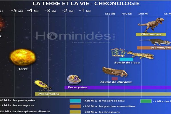 chronologie-terre